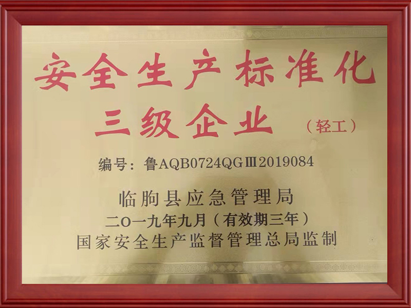 安全生產(chǎn)標(biāo)準(zhǔn)化三級(jí)企業(yè)